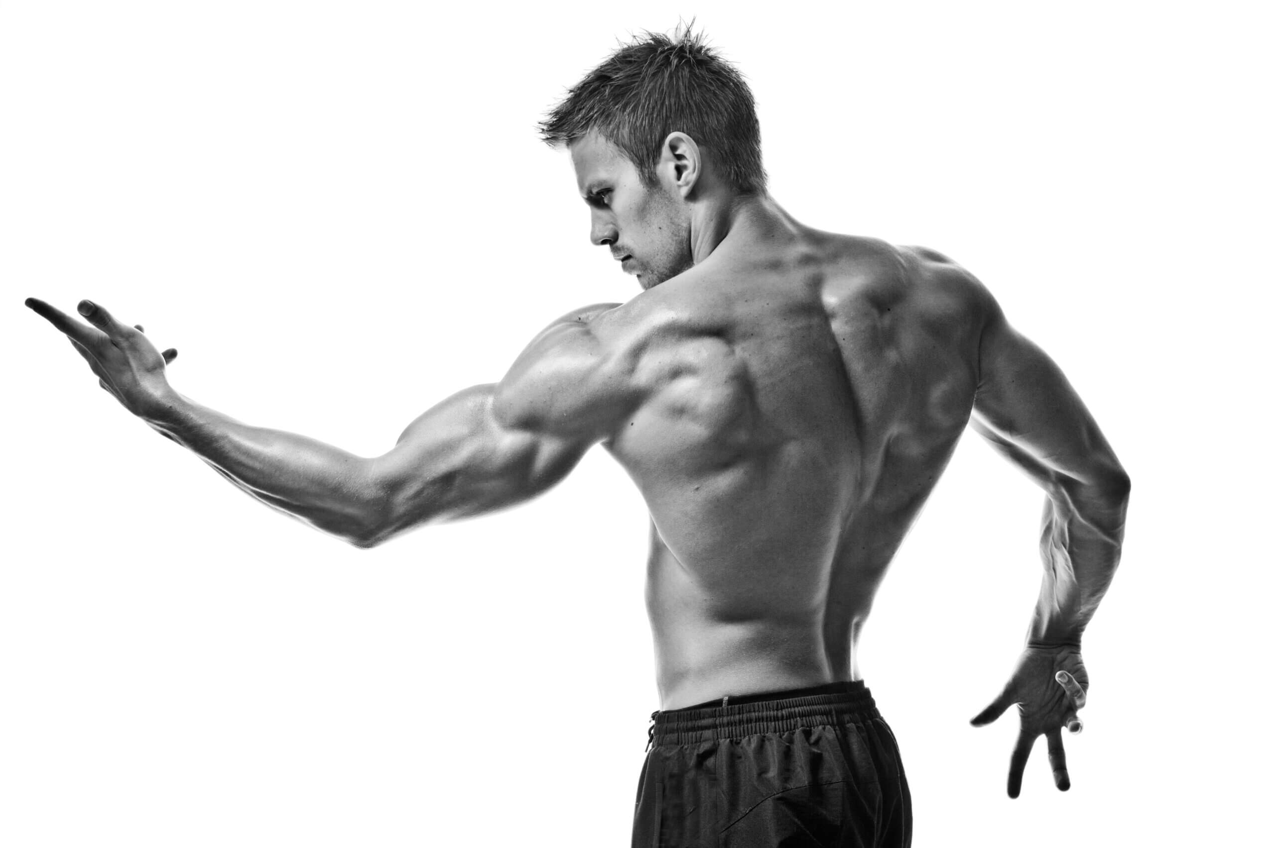 You are currently viewing Les 10 fondamentaux sur la musculation que vous devez connaître !