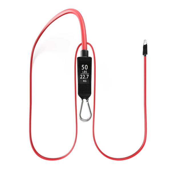 Elastique musculation / fitness complémentaire - 50lbs / 22.7kg